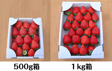 500g箱と1kg箱の比較