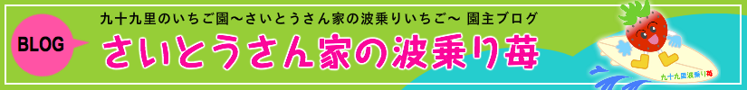 園主ブログ『さいとうさん家の波乗りいちご』