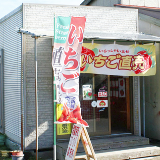 斉藤ファーム直売所