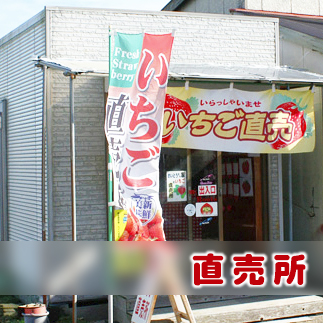 直売所