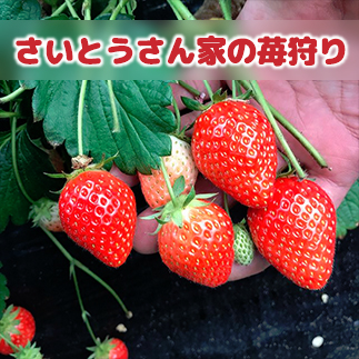 苺狩り情報