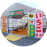 苺狩り受付